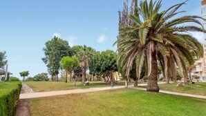 Un parque con un camino, palmeras y un edificio al fondo.