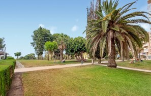 A park with a pathway, palm trees, and a building in the background. - Pet friendly apartment in Benalmadena with swimming pool (Benalmadena)