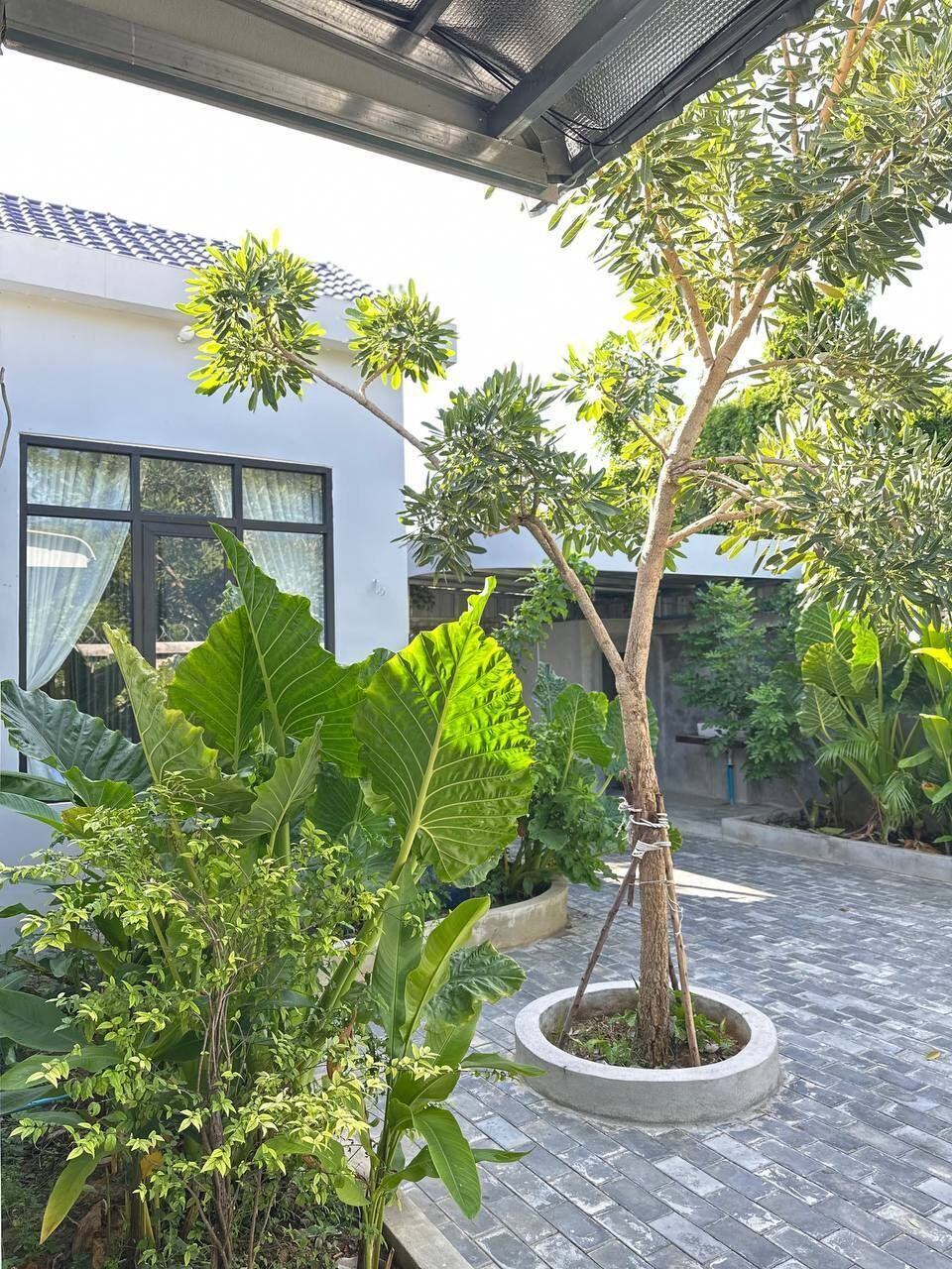 Jardines del alojamiento