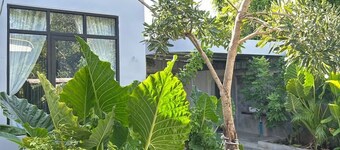 BTB Homestay Privet Villa