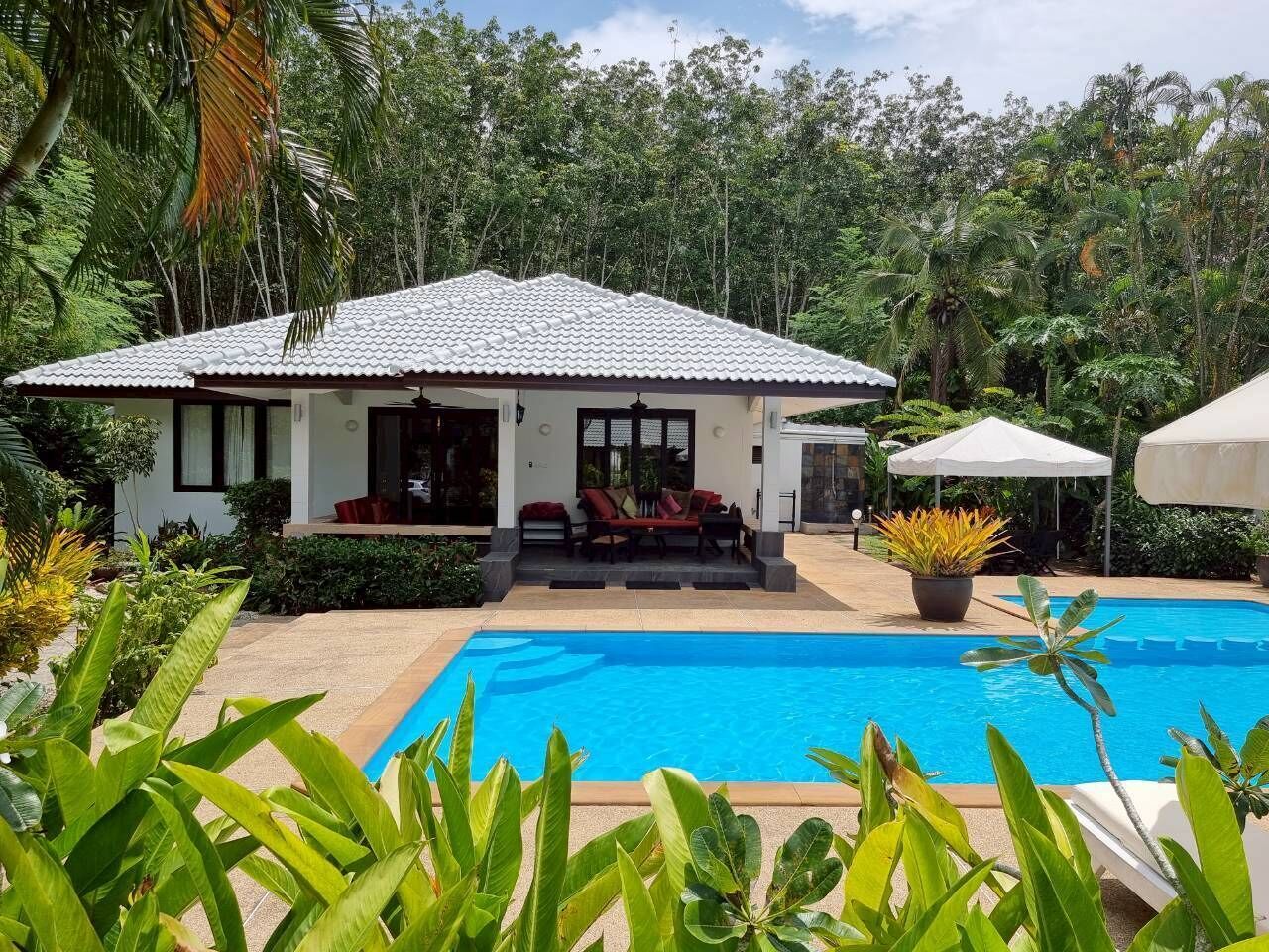 A house with a pool, surrounded by lush greenery.