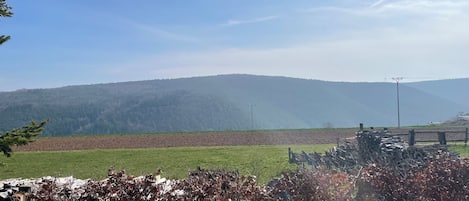 Un paisaje rural con un campo, una cerca y una colina al fondo.