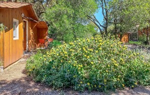 A wooden cabin with a covered porch, surrounded by a garden with yellow flowers. - Stunning home in Saint-Jean-du-Pin with outdoor swimming pool (Saint-Jean-du-Pin)