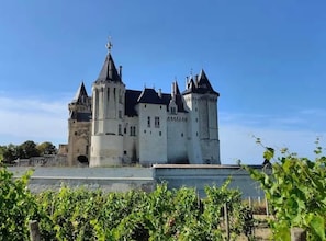A large castle-like building with multiple towers and a prominent central tower. - La Propriété de Bacchus - Écrin de Loire - Design & Confort (Saumur)