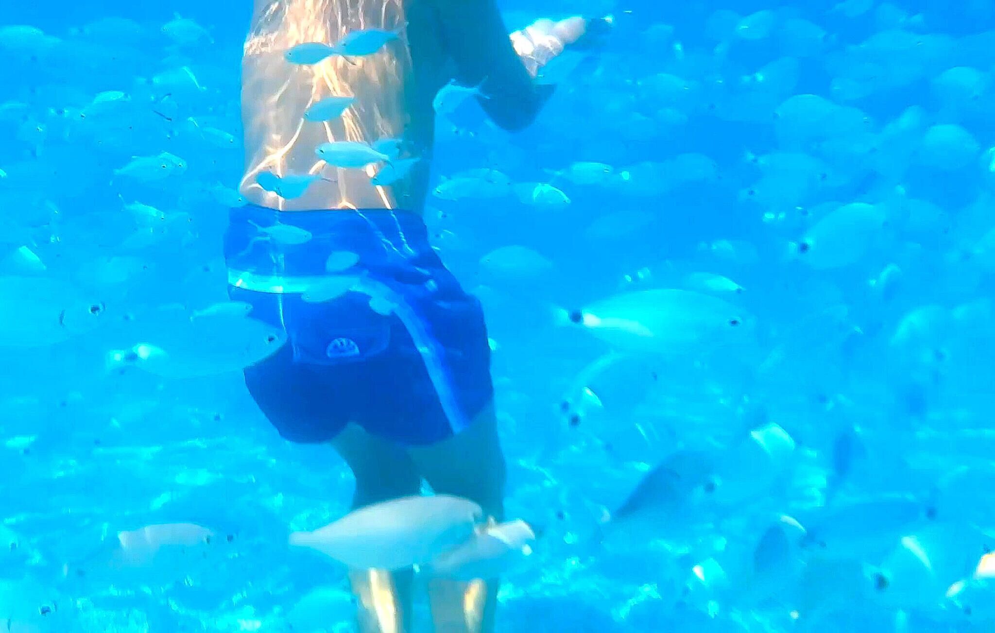 Una persona nedant en aigües blaves i cristal·lines amb nombrosos peixos.