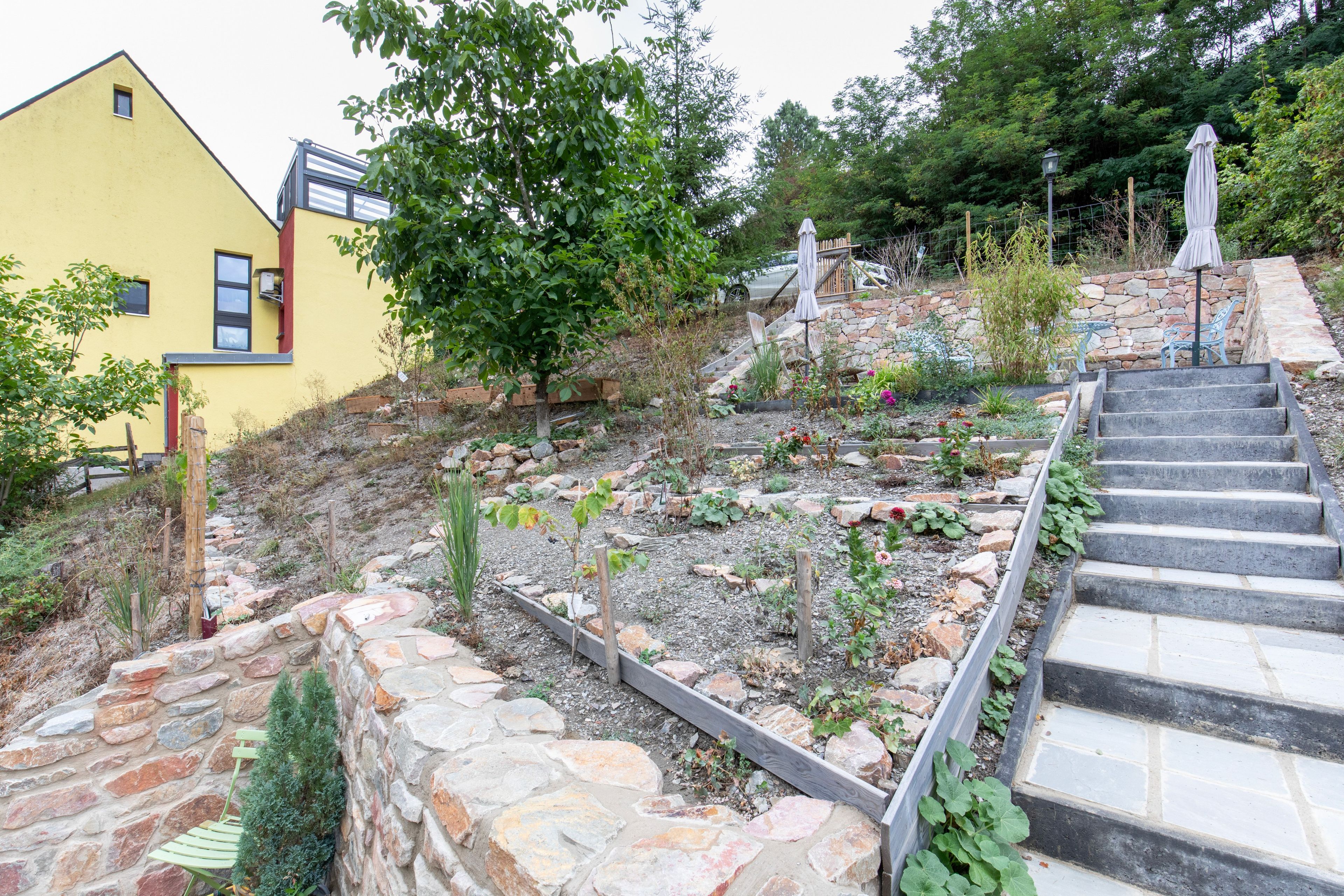 A garden with a stone retaining wall, a wooden bench, and a staircase leading up.