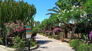 A pathway lined with various plants and a directional signpost. - Amazing home in Piraino (Piraino)