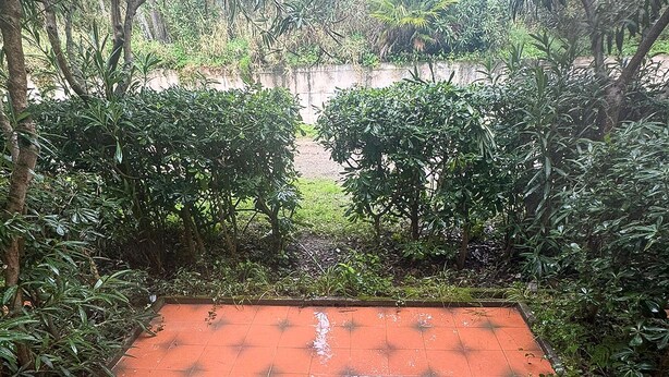 Property grounds - House in Piraino (527) (Piraino)