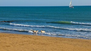A beach with waves, a sailboat, and seagulls. - Stunning apartment in Marina di Ragusa with WiFi (Marina di Ragusa)