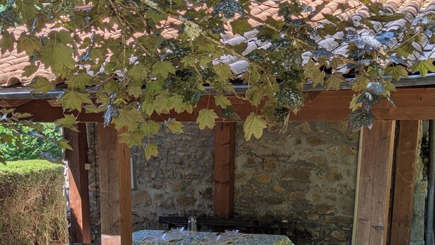 Un espace extérieur aménagé dans un style rustique, avec une table et des bancs en bois, entouré de murs en pierre et surmonté d’une pergola couverte de plantes grimpantes.