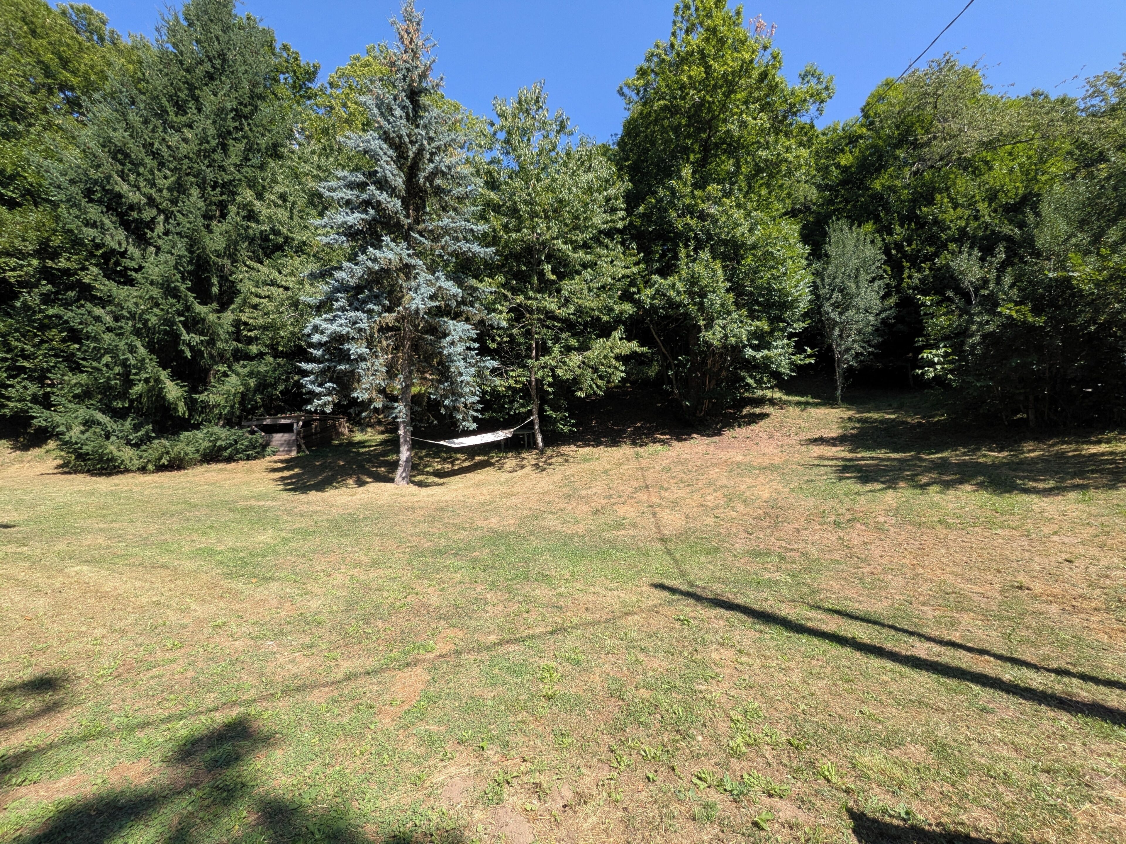 Un'area verde con alberi e un'amaca.
