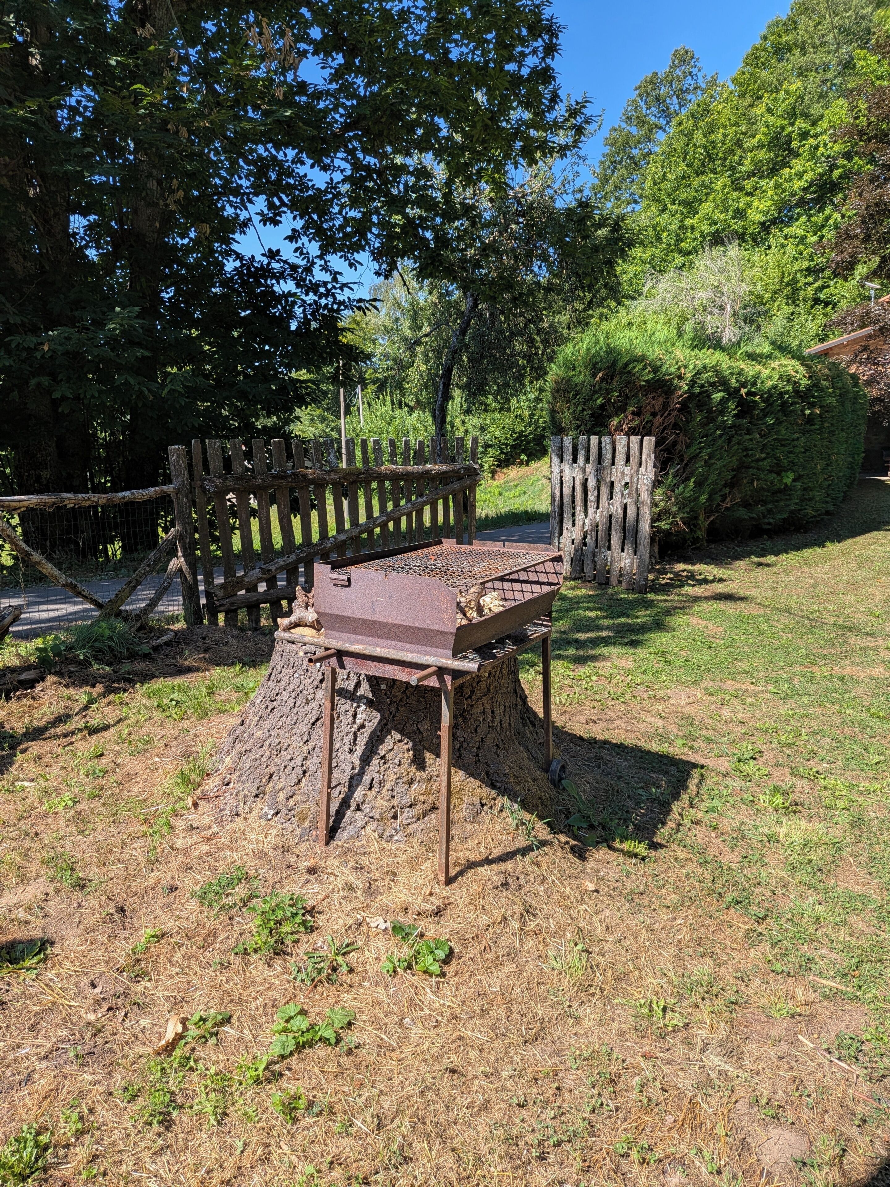 Un'area barbecue rustica all'aperto su un ceppo, circondata da un recinto in legno e vegetazione rigogliosa.