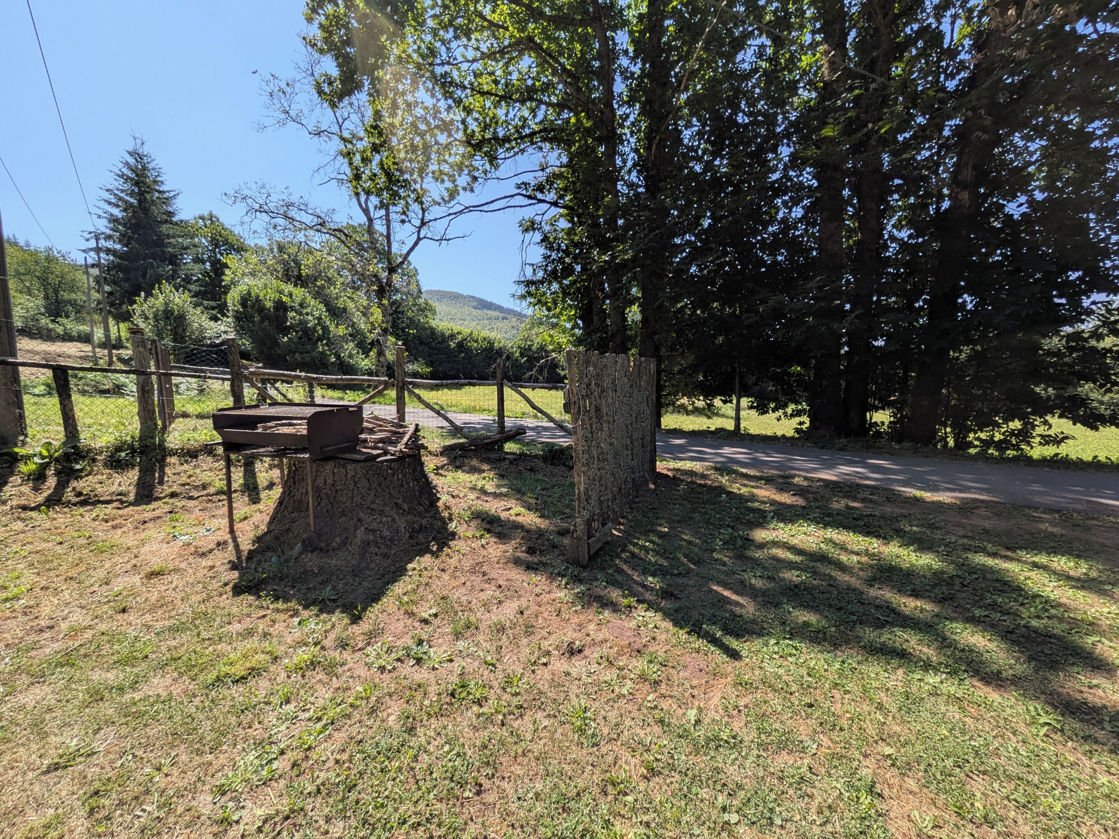 Une table de pique-nique sous un grand arbre, avec une clôture en arrière-plan.