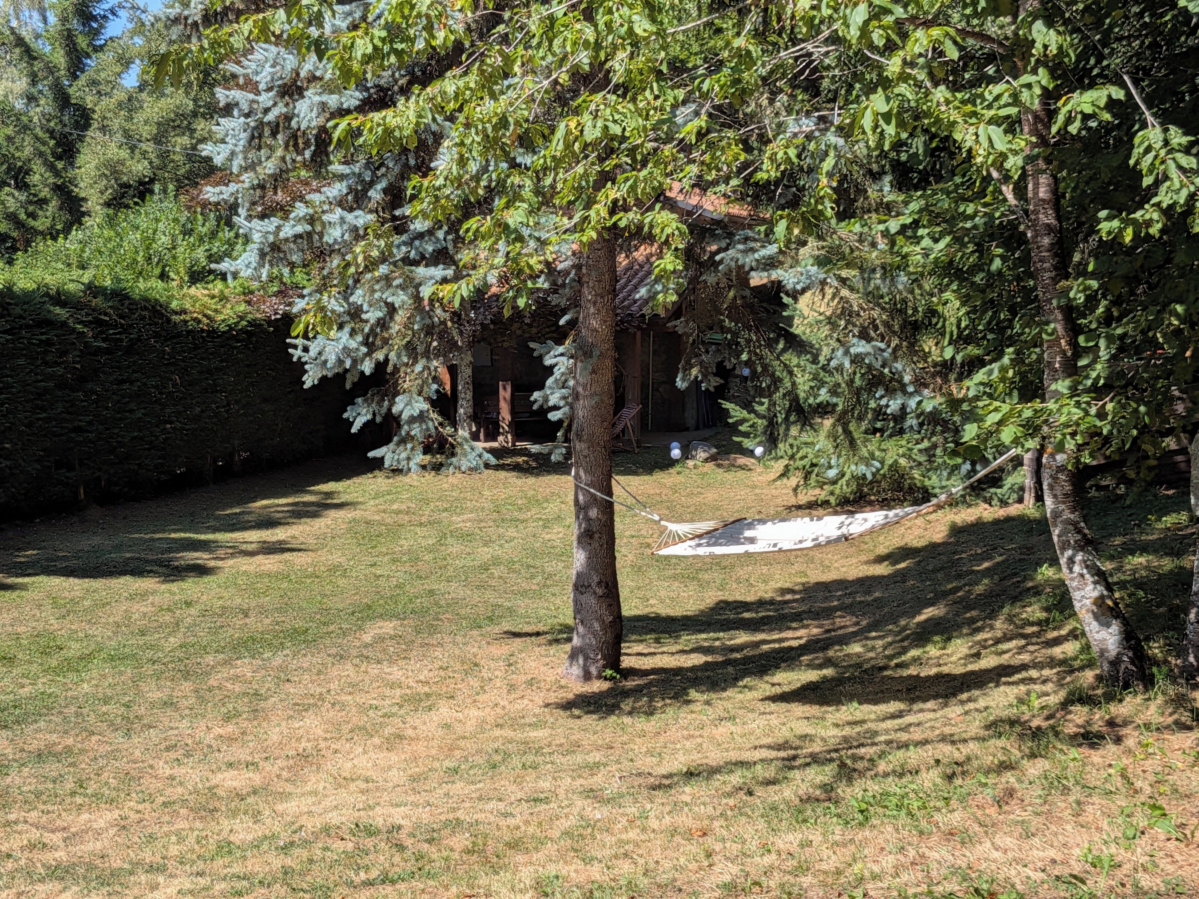 Un'area erbosa con un'amaca, alberi e un edificio sullo sfondo.