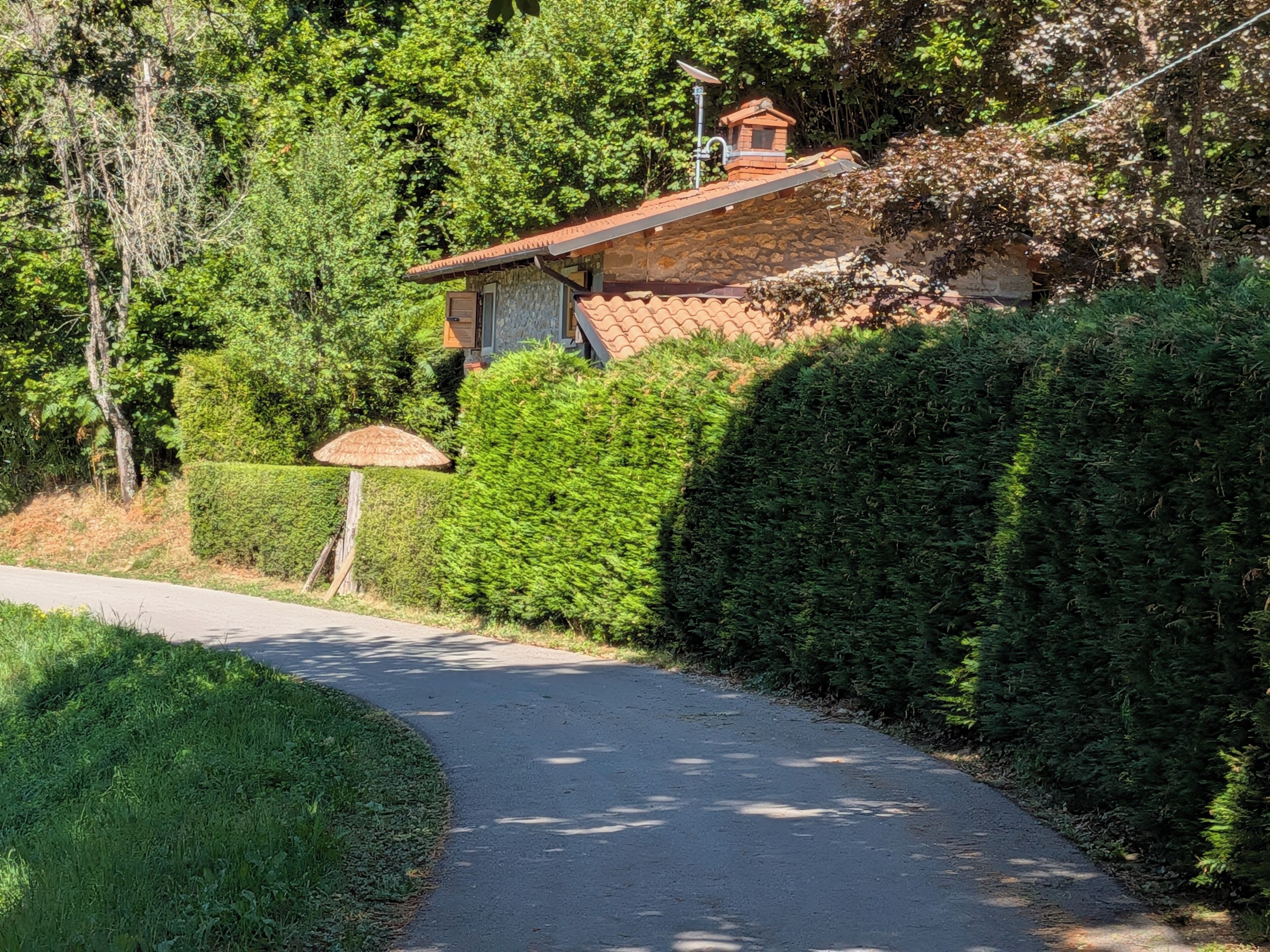 A rural road leading to a stone house with a tiled roof, surrounded by dense greenery.