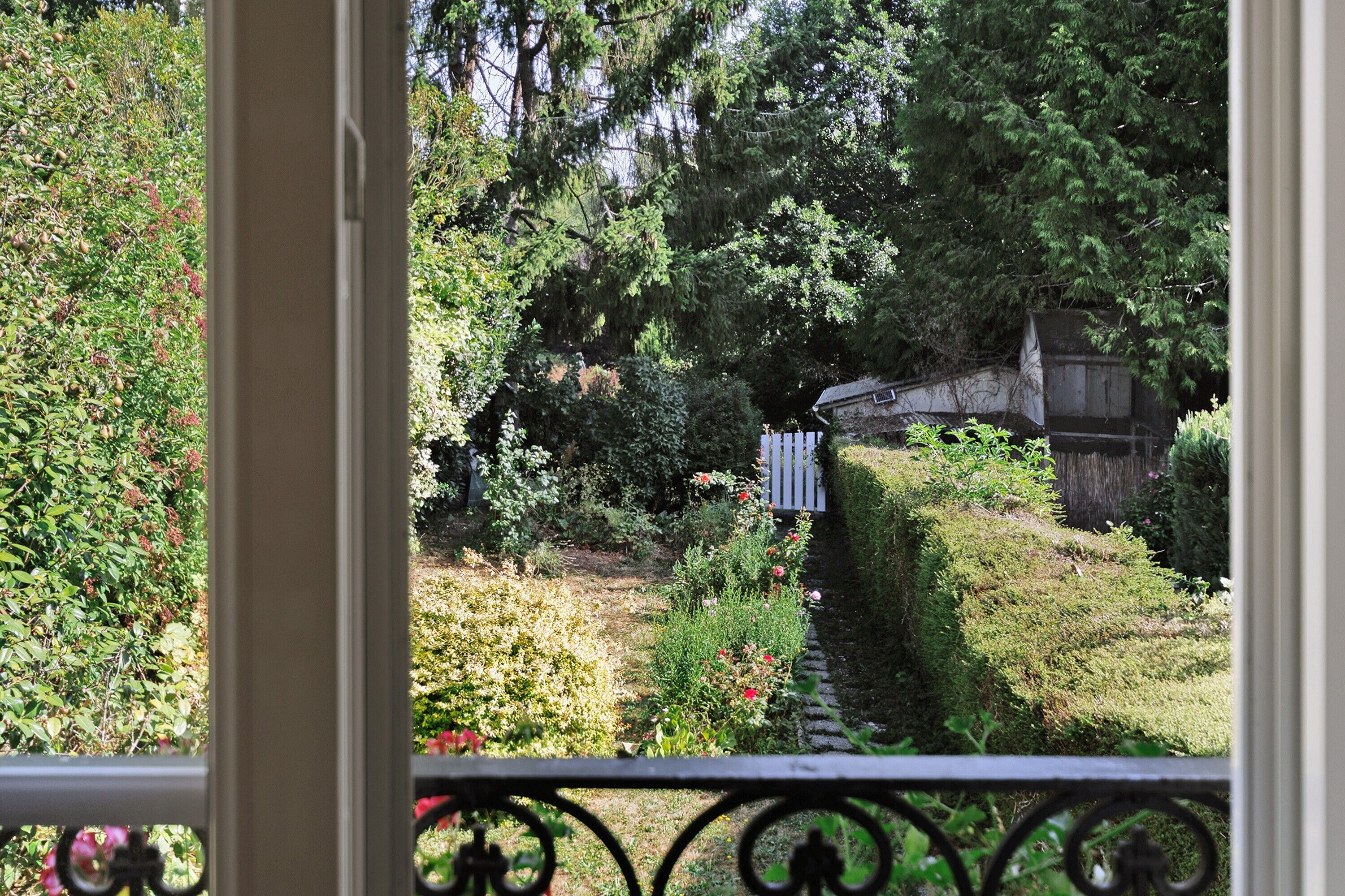 A garden with a pathway, trees, and a white fence.