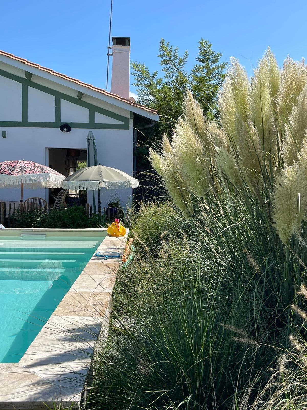A swimming pool with a tiled edge, surrounded by lush greenery and a building with a white facade and green trim.
