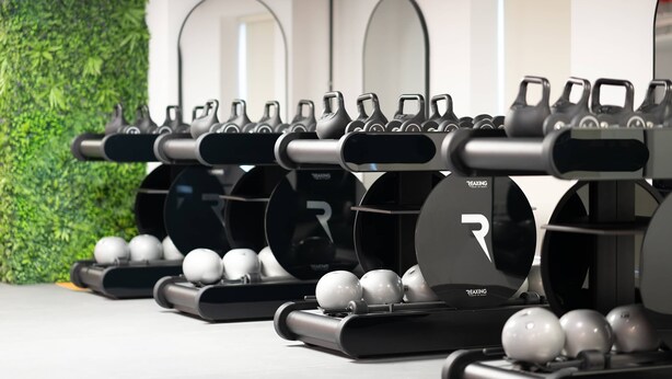 A row of exercise equipment with black handles and silver weights, set against a wall with a green leafy backdrop. - Deluxe Escape  Luxury Wellness Hotel (Jumeirah Village Triangle)