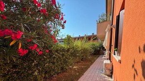 En gång som leder till en byggnad med ett klinkergolv och en trädgård med röda blommor och gröna buskar.