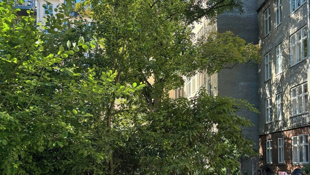 An outdoor seating area with tables and chairs, surrounded by trees and buildings. - Grand 1912 apartment in inner Østerbro (København)