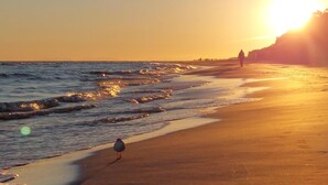 Una playa con olas al atardecer, una gaviota y gente a lo lejos.