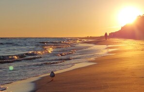 Ein Strand bei Sonnenuntergang mit Wellen, einer Möwe und Personen in der Ferne.