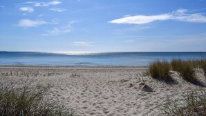 Een zandstrand met gras op de voorgrond en een helderblauwe lucht.