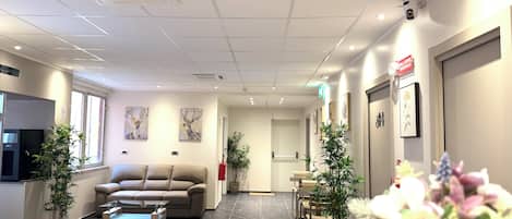 A reception area with a sofa, chairs, a coffee table, and potted plants.