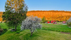Boendeområde