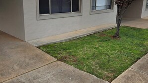 A building with a flat roof, a number '4' sign, and a small tree in the front yard. - Tidy one bedroom apartment (Leeton)