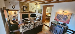 TV, fireplace