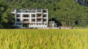 Un edificio de varios pisos con techo plano, rodeado de un paisaje verde exuberante y un campo de cultivo.