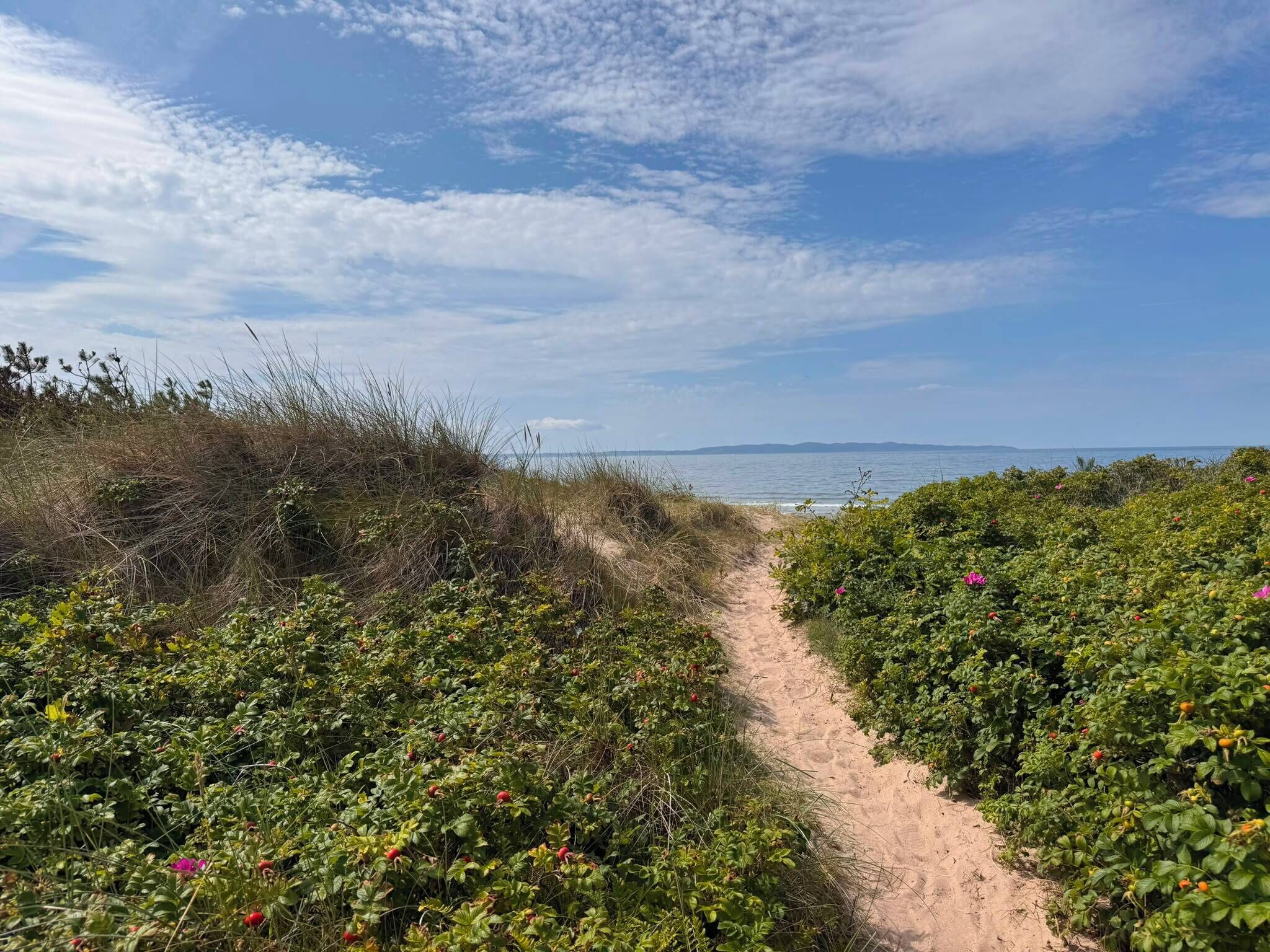 Plage