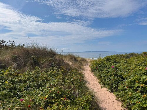 A simple summer cottage located about 200 m from a fantastic sandy beach.