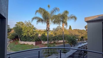 Un balcón con barandilla de metal que da a un jardín con palmeras y un cielo despejado.