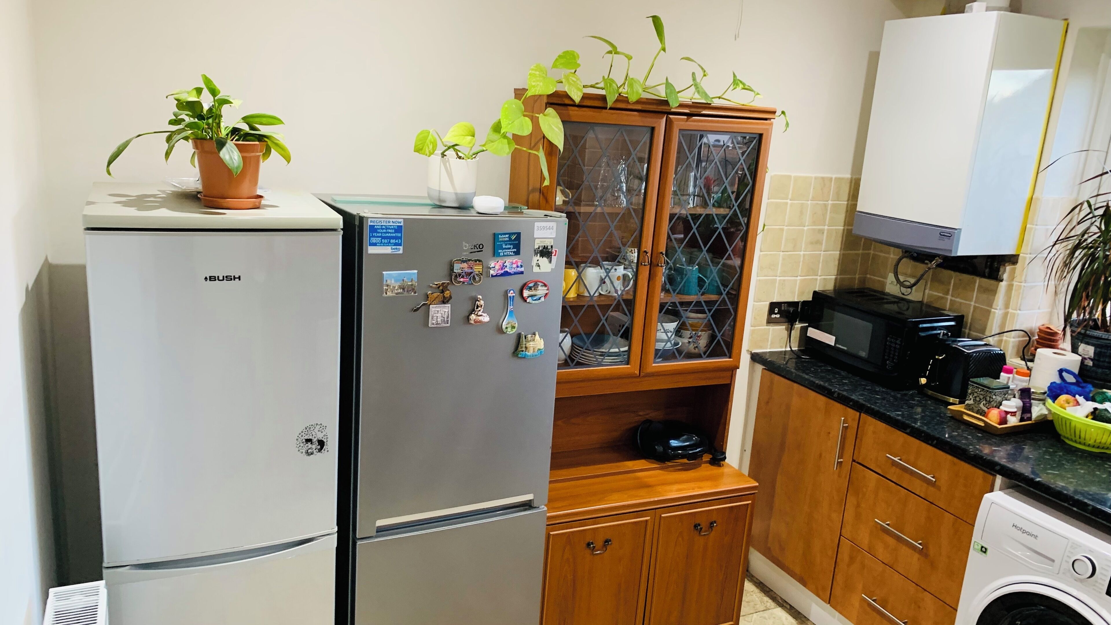 A compact kitchen with a refrigerator, a microwave, a washing machine, wooden cabinets, and a glass-fronted cabinet with plants.
