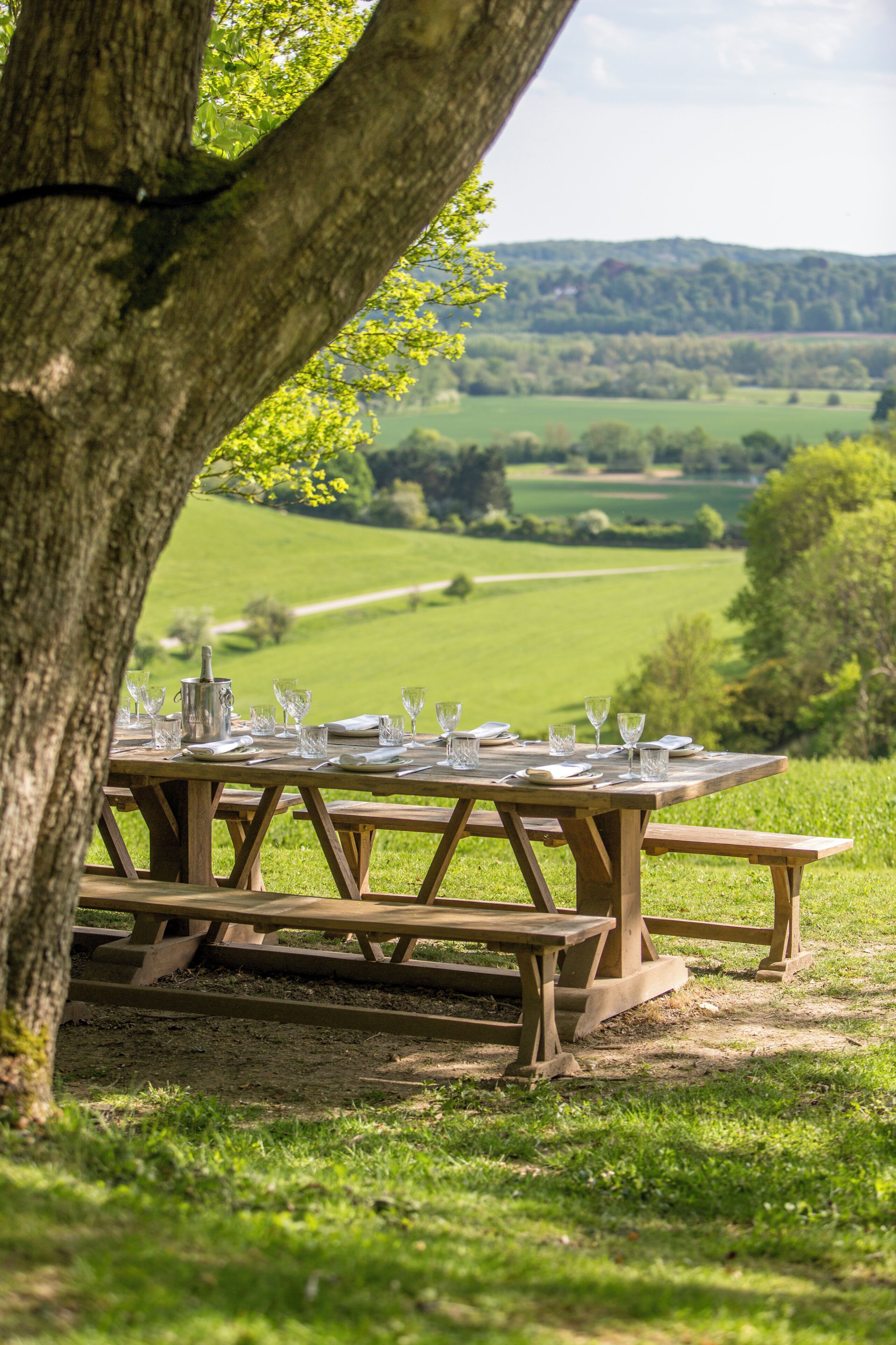 A picnic table set up outdoors with a view of a green landscape and hills in the background.