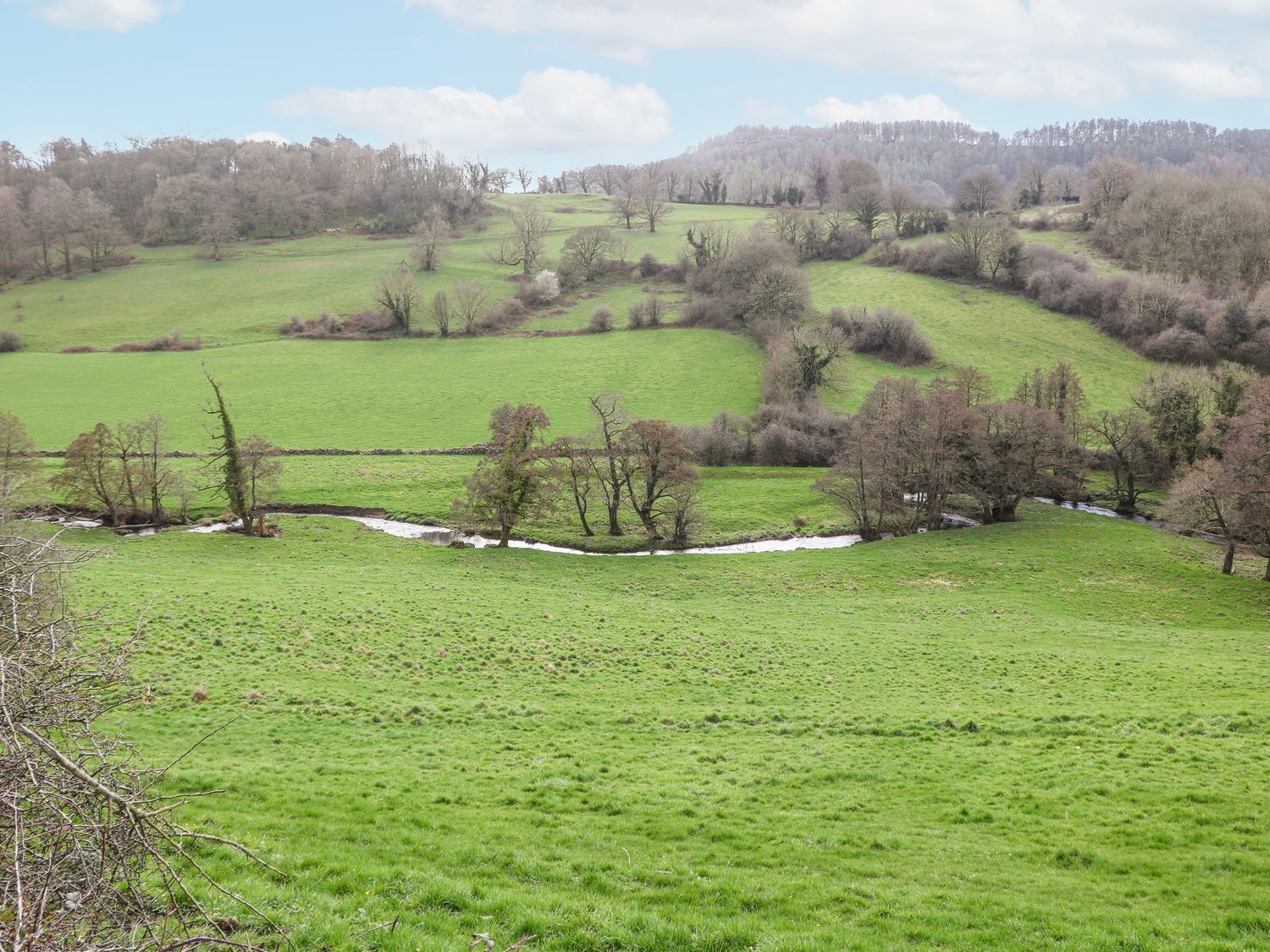 A rural landscape with rolling green hills, scattered trees, and a small stream.