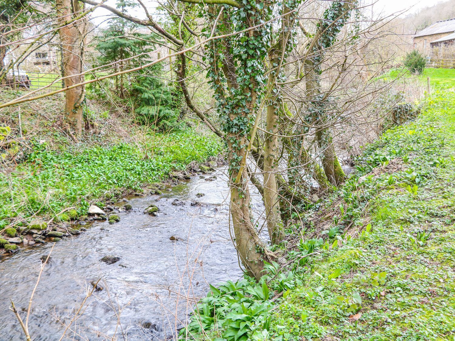 A natural stream with surrounding greenery and trees.