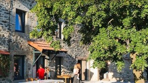 A stone building with a covered outdoor seating area, a gravel path, and a tree. - Country house - 15 guests - Loire Valley (Retournac)