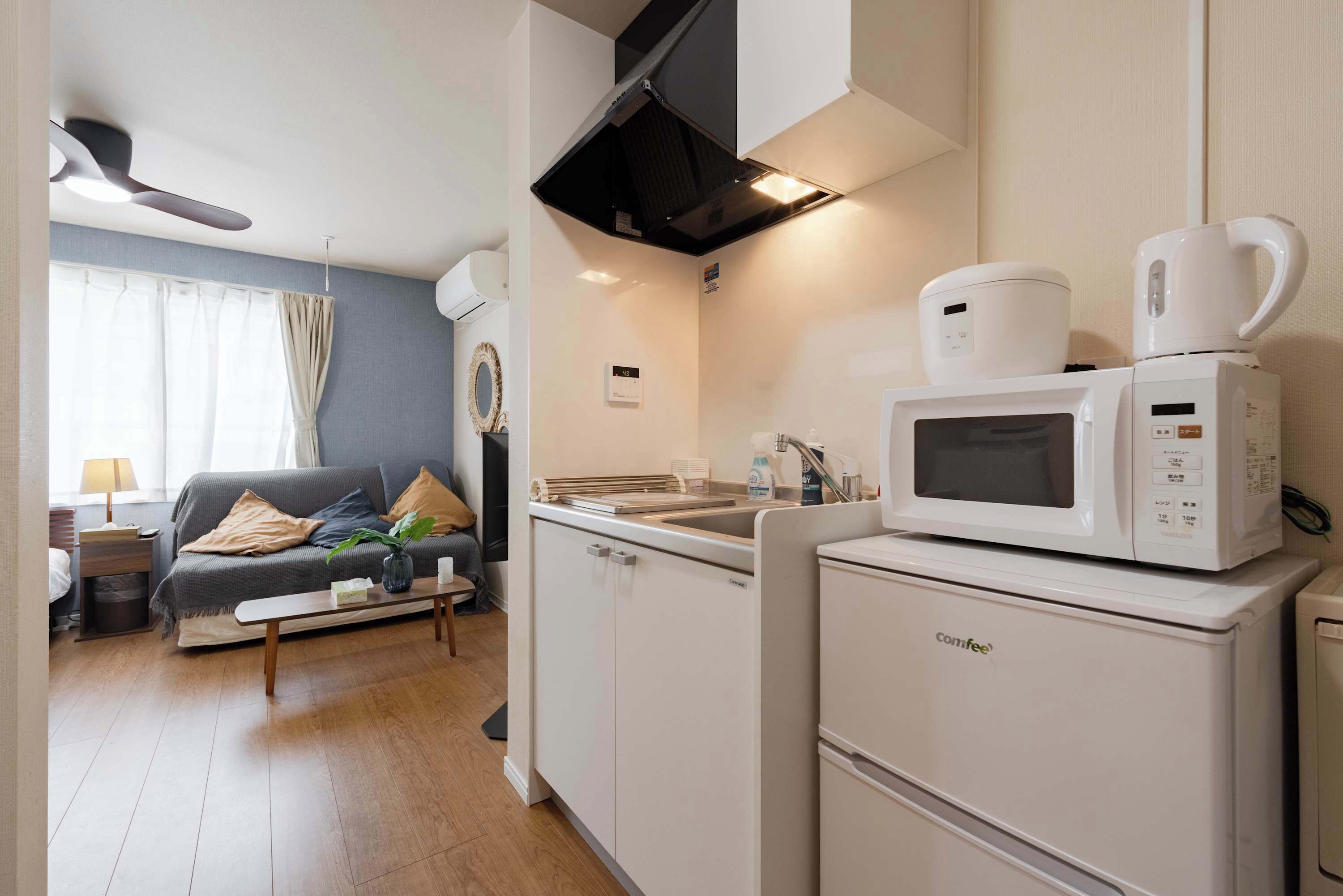 Fridge, microwave, stovetop, electric kettle