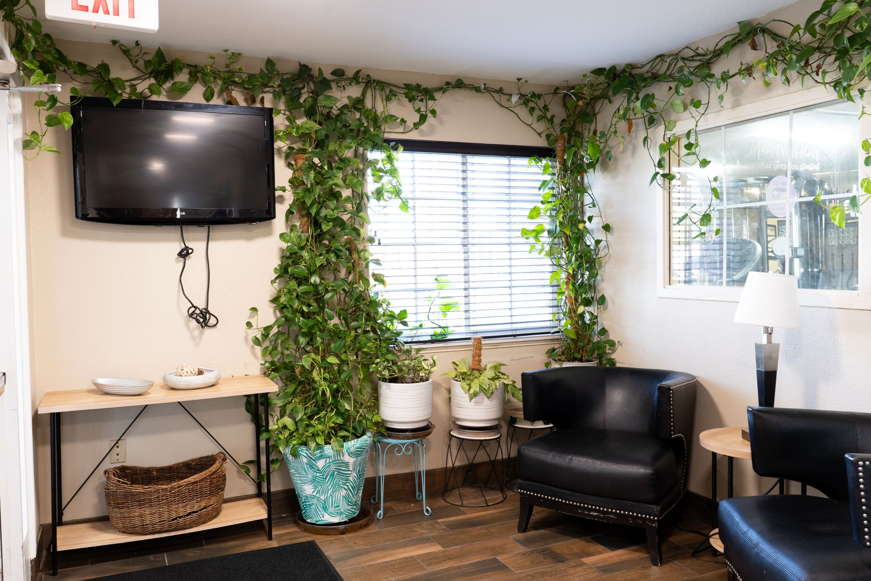 A room with a flat-screen TV mounted on the wall, a window with blinds, a black leather chair, a small table, and a potted plant.