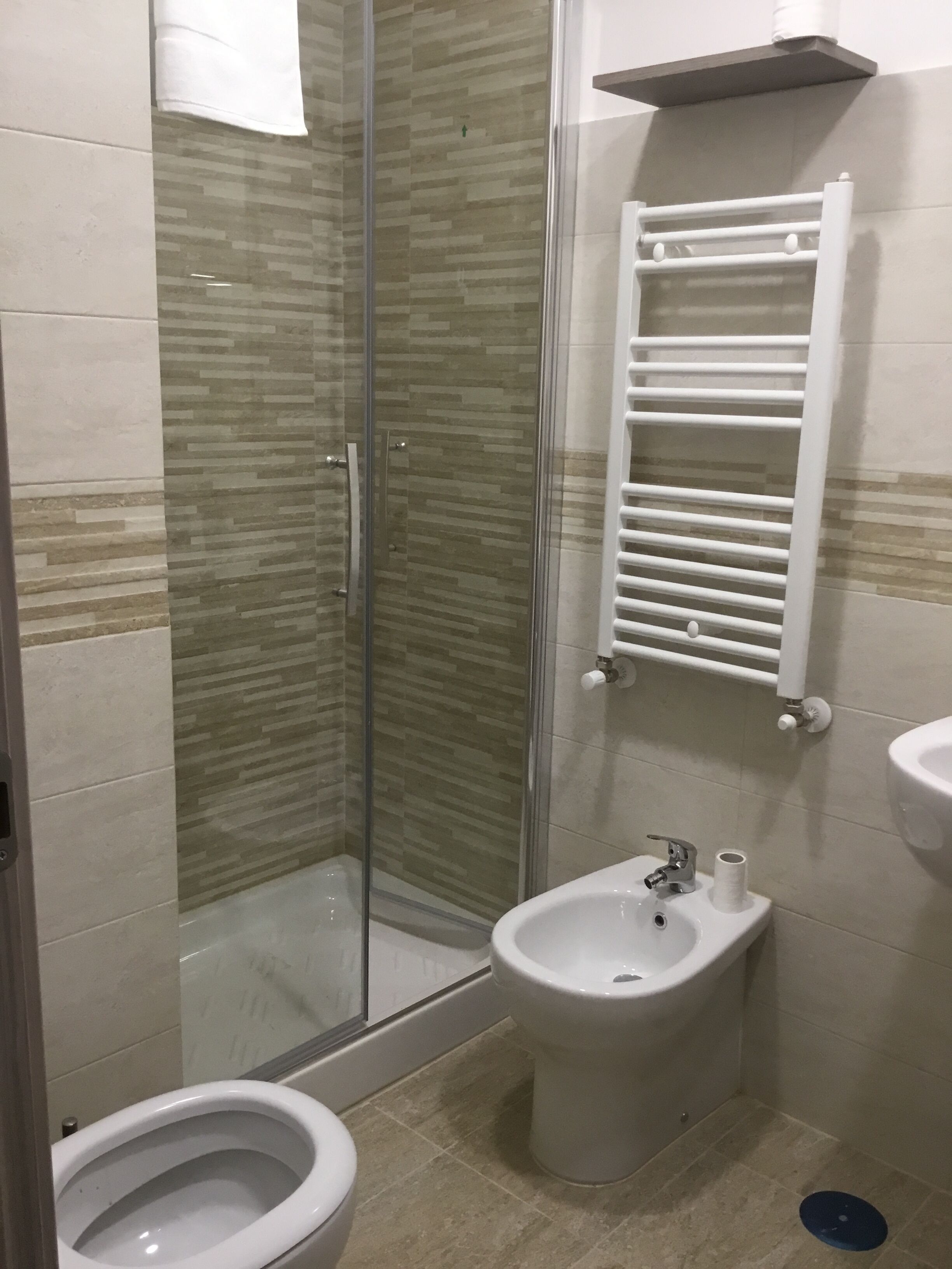 A bathroom with a glass-enclosed shower, a bidet, and a sink with a towel rack above it.