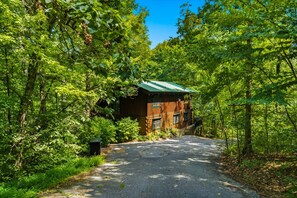 A cabin surrounded by dense forest with a gravel path leading to it. - Marigold's Mountain Memories (Gatlinburg)