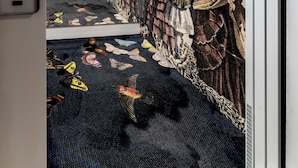 A hallway with a patterned carpet, a wall-mounted light switch, and a safety sign.