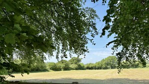 Ländliche Landschaft mit Holzzaun, Wiese und Bäumen.