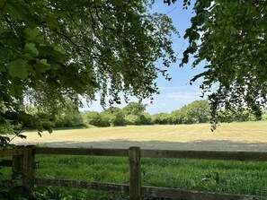 Ländliche Landschaft mit Holzzaun, Wiese und Bäumen.