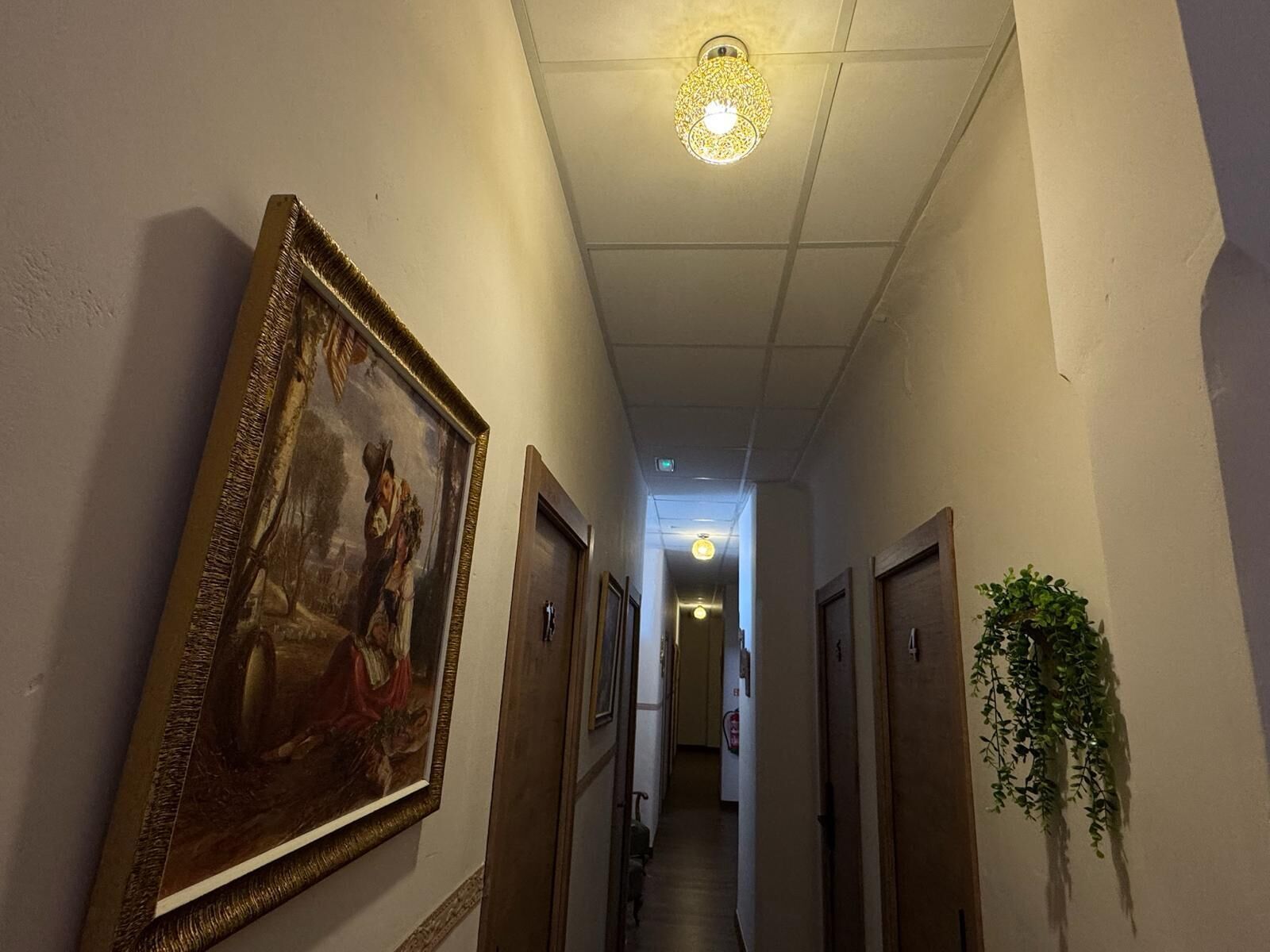 Un pasillo con puertas, un cuadro enmarcado y una planta colgante.