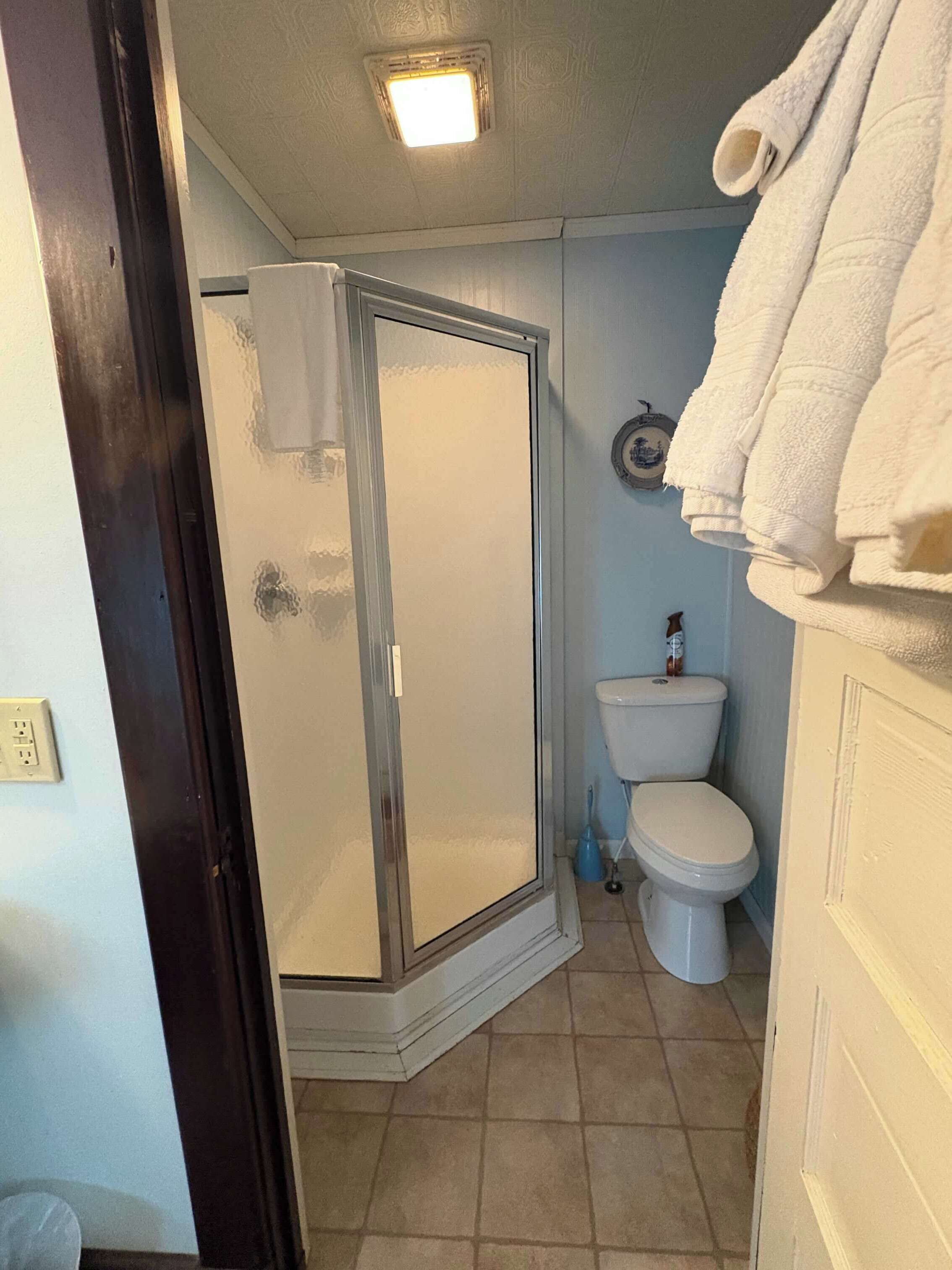 A bathroom with a glass-enclosed shower, a toilet, and a towel rack.