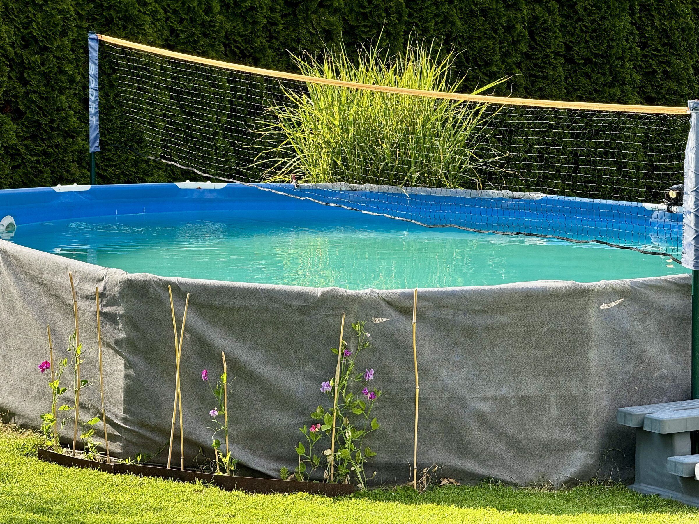 Una piscina amb una tanca de protecció, envoltada per una zona enjardinada i algunes plantes.